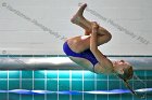 Swimming & Diving vs Babson  Swimming & Diving vs Babson College. - Photo by Keith Nordstrom : Wheaton, Swimming